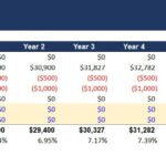 Financial model showing 10-year projections for cash flows and IRR in private equity analysis.