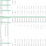 CAPEX schedule showing investment categories and costs in USD for a green hydrogen plant.