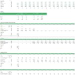 Cash flow and investor equity metrics for a green hydrogen project