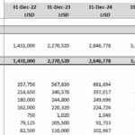 Income Statement with revenue and operating cost data spanning from 2022 to 2029.