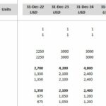 Capacity and conversion metrics for healthcare operations from 2022 to 2029.