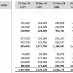 Revenue projection table showing detailed income categories for healthcare services through 2029.