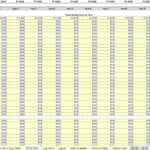 Monthly cost schedule showing roles and associated expenses for FY 2023-2032.