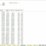 Detailed debt schedule showing payments, interest, and balances for a $100,000 loan.