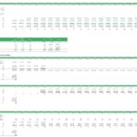 Financial spreadsheet presenting cash flows and investment details for Blue Hydrogen projects.