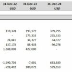 Financial metrics table showing projected income and cash flows from 2022 to 2029.