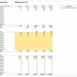 Gross profit and sales analysis for MyEcommerce, showing product units sold and pricing trends.