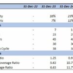 Spreadsheet showing project financial metrics such as IRR, NPV, payback period, and various financial ratios.