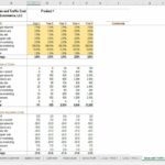 Sales and traffic cost table detailing marketing channels and performance metrics across five years.