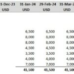 Salary breakdown for various positions, totaling 41,500 USD monthly.