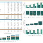 Financial performance chart showing revenue, EBITDA, and key ratios for fiscal years 2020-2024.