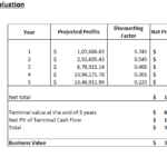 Financial table of projected profits and net present values for a business valuation scenario.