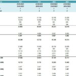 Monthly Profit & Loss statement highlighting revenue and expenses for 2023.