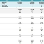2023 revenue model showing fees for orders, support, and advertisements.