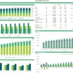 Detailed oilseed production summary showing capacity, revenue, and depreciation analysis.