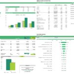 Break-even and sensitivity analysis for a biodiesel plant's financial performance.