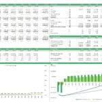 Consolidated financial summary with P&L, balance sheet, and cash flow projections for biodiesel project.