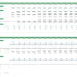 Debt schedule chart with projected balances, repayments, and key financial ratios for an ethanol plant.