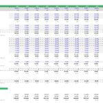 Monthly budget analysis showing projected revenue, expenses, and net income for financial planning.