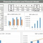 Financial model displaying NPV, IRR, and profitability metrics over time.