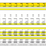 Detailed debt schedule showing loan principal, repayment years, and interest payments across multiple years.
