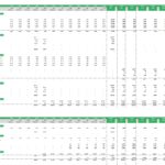 Financial model displaying CAPEX and debt schedules for Airbnb startup costs.