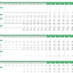 Rental income analysis template with monthly projections and fees for Airbnb investments.