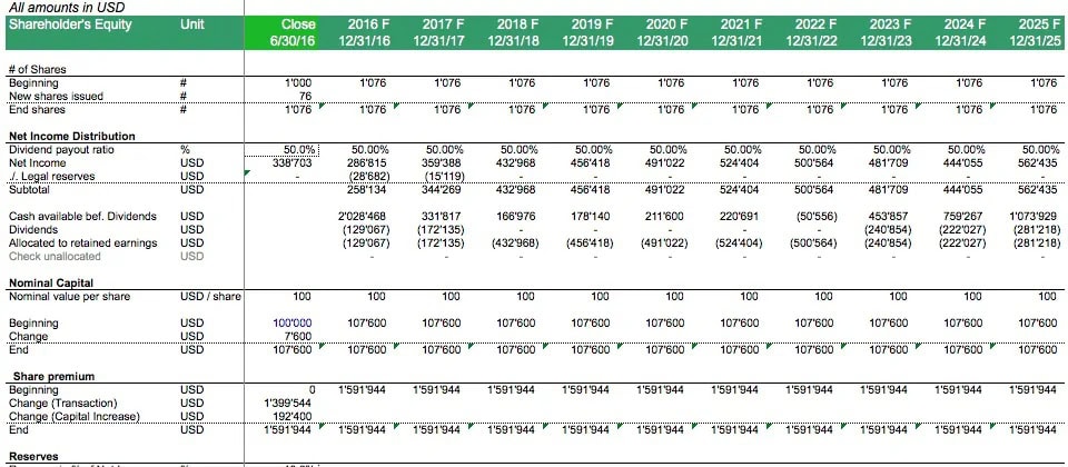 Shareholder Equity Model for Leveraged Buyouts | eFinancialModels Shareholder equity table detailing shares, net income, and capital projections through 2025.
