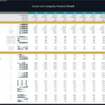 Financial model highlighting KPIs and ratios for a cruise line