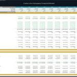 Annual financial model showing revenue, expenses, and cash flow for a cruise line company.