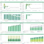 Monthly financial charts showing income, cash flow, and debt projections for a gasoline station.