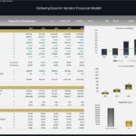 Financial model summary displaying revenue, net income, and cash flow projections from 2024 to 2028.