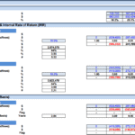 Financial metrics table showing ROE, NPV, IRR, and Payback Period.