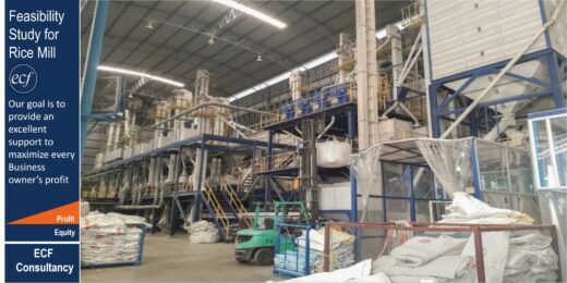 Financial Feasibility Study – Rice Mill