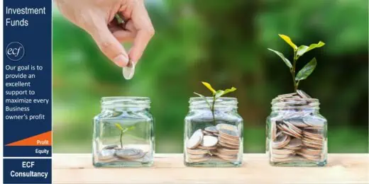 Financial Feasibility Study – Investment Funds