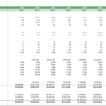 Financial ratios table for Green Ammonia Plant from 2024 to 2033, showing various financial metrics.