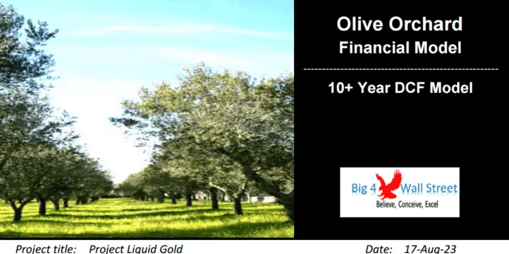 Olive Orchard Business – DCF 10-Year Financial Model