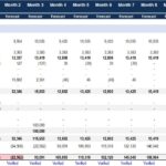 Pro forma cash flow statement showing monthly cash flow forecasts and adjustments.