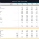 Five-year financial forecast for a scuba diving center, including income and cash flow statements.
