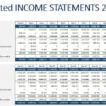 Detailed 20-year income statement showing revenue and expenditures for hotel development.