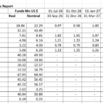 Table detailing cash requirements for government projects by activity and timeline.