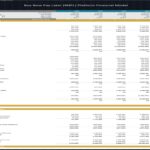 Financial model displaying 5-year forecast for BNPL platform's income statement and cash flow.