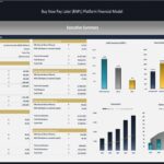Executive summary of BNPL financial model showing ROI and growth metrics.