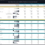 Financial ratios for a BNPL platform, including profitability and liquidity metrics.