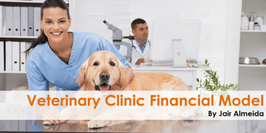 Veterinary Clinic Financial Model and Budget Control Template
