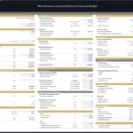 Financial model assumptions for microfinance platform, showing key metrics and funding sources.