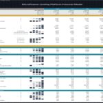 Financial ratios overview for a microfinance platform