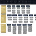 Detailed layout of a microfinance platform financial model components.