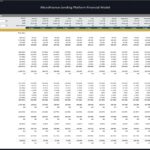 Monthly budget analysis for a microfinance platform, detailing revenues and expenses for 2026.