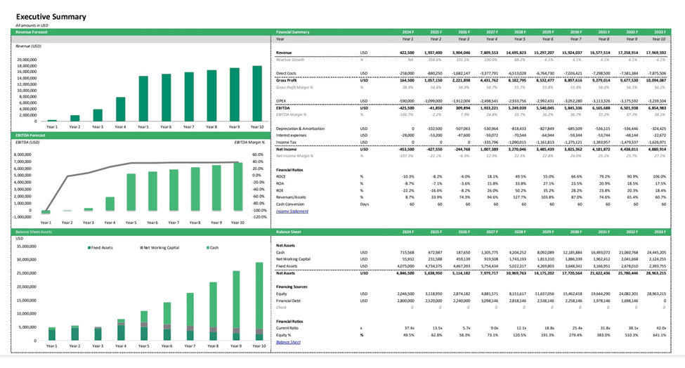 Ten-Year Financial Summary and Forecast Overview | eFinancialModels Ten-year financial forecast including revenue and EBITDA projections.